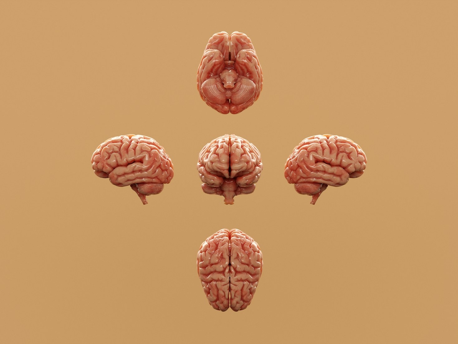 Unlocking Creativity Through Cognitive Training